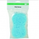 Body Sponge